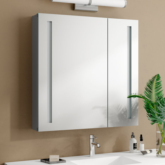 Orren Ellis Dili Recessed or Surface Mount Frameless 2 Door Medicine